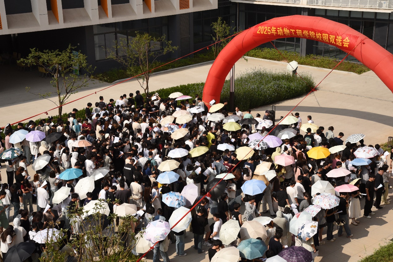凝心聚力稳就业，蓄势赋能促发展——动物工程学院举办2025年校园双选会